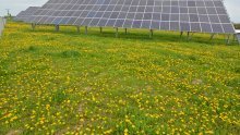 Italija priprema zabranu solarnih ploča na poljoprivrednom zemljištu